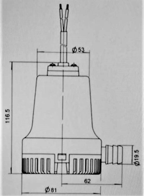 Vandens pompa, siurblys 12V 25L/min