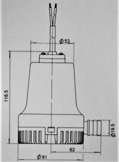 Vandens pompa, siurblys 12V   25L/min